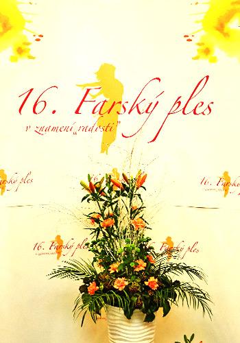 Ako bolo na farskom plese?